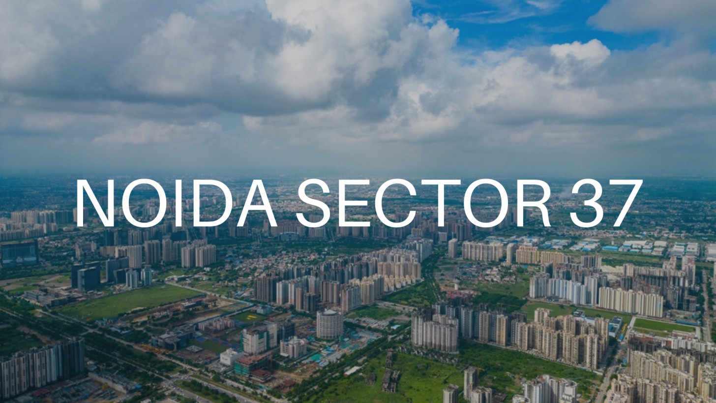 Sector 37 Noida: The Next Big Commercial Hub