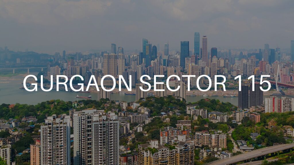 Gurgaon-Sector-115